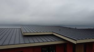 Best 4 Ply Roofing  in Delta Junction, AK